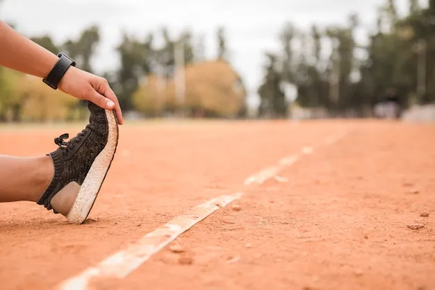 IM体育APP 客服支持